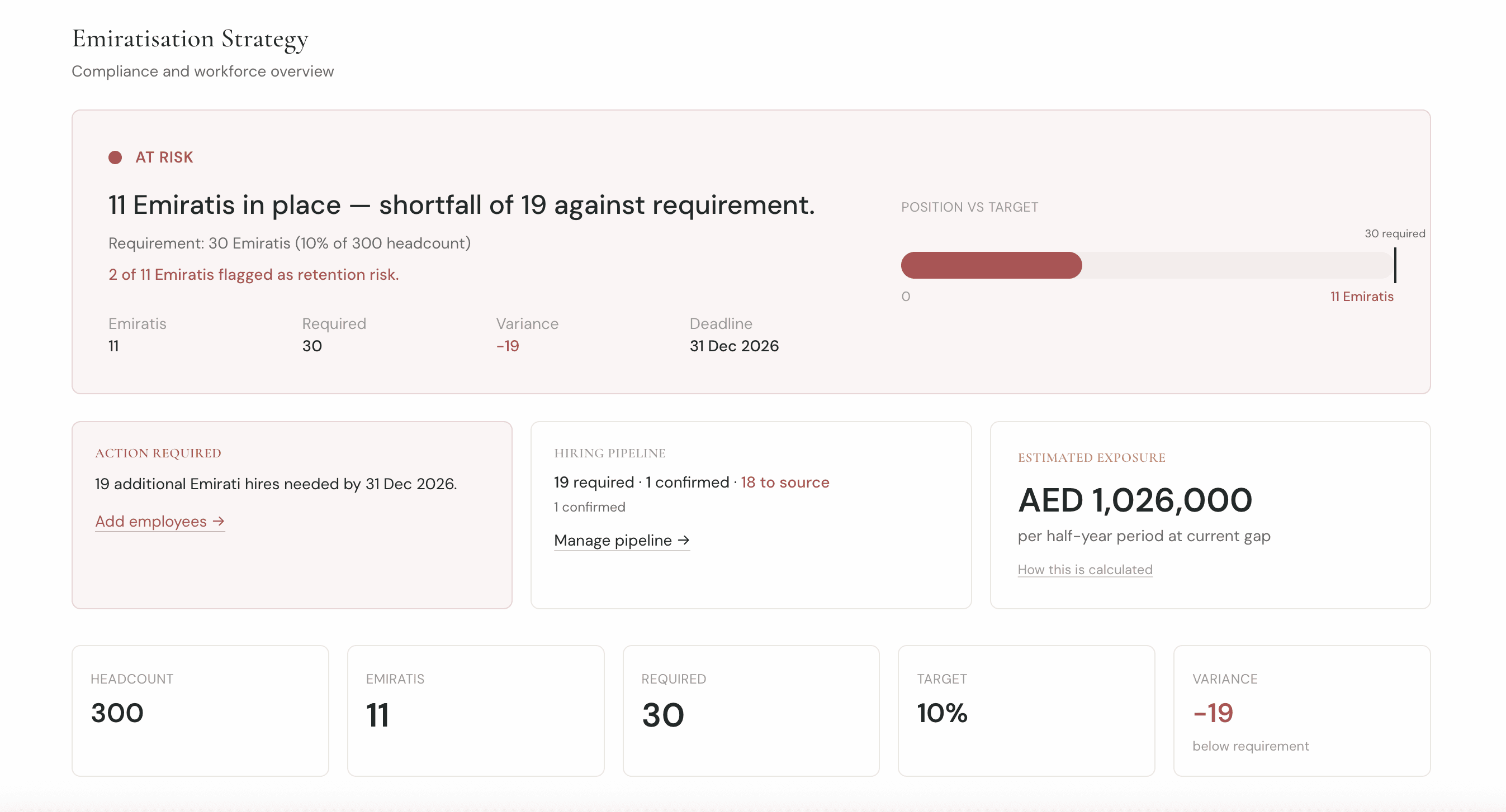 Emiratisation Strategy Dashboard